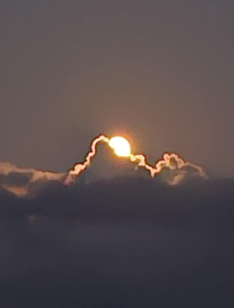 IMG_2200.jpeg