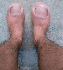 IMG_2931.gif