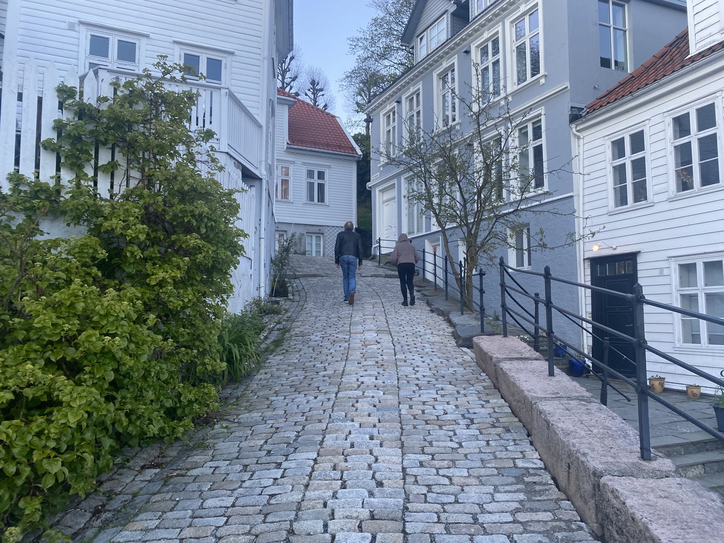 IMG_3018.jpeg