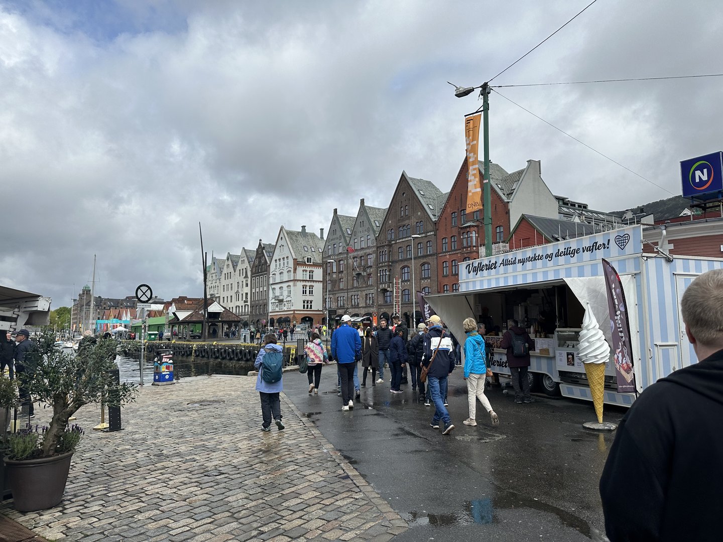 IMG_3026.jpeg