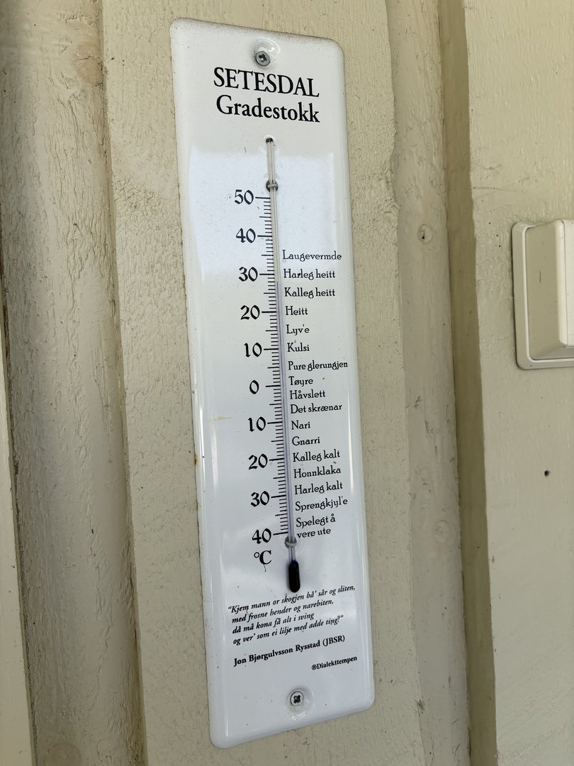 IMG_3201.jpeg