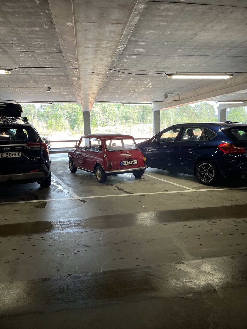 IMG_3252.jpeg