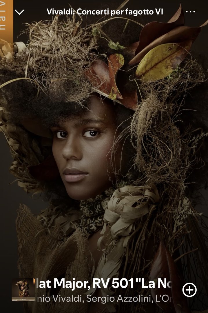 IMG_3403.jpeg