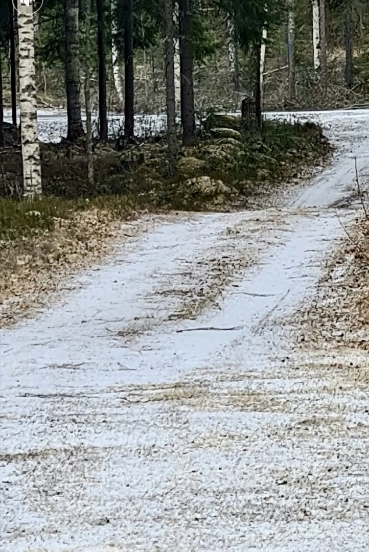 IMG_3504.jpeg