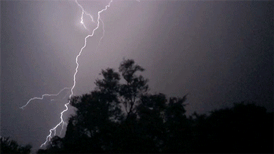 IMG_3506.gif