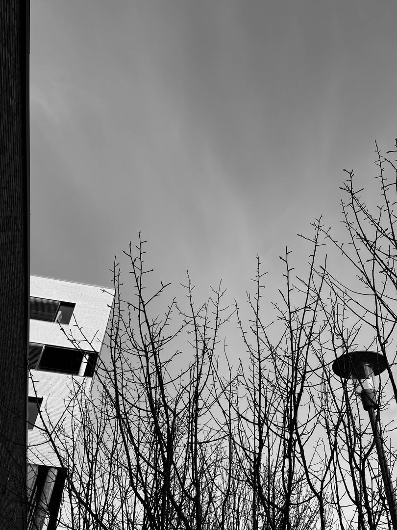 IMG_3572.jpeg