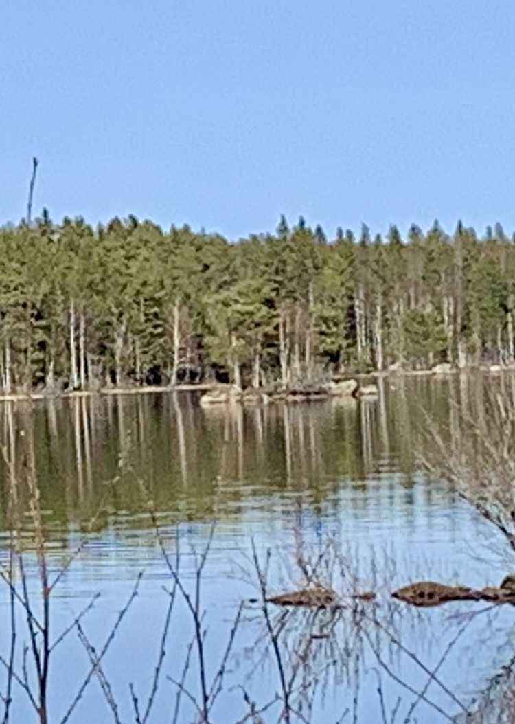 IMG_3665.jpeg