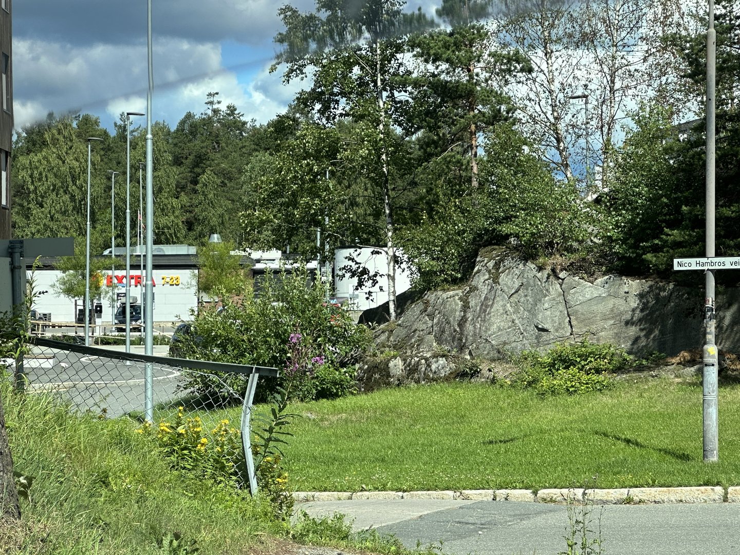IMG_3684.jpeg
