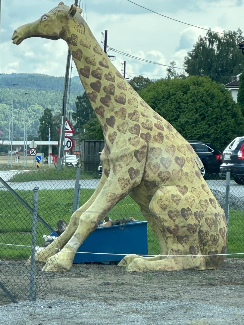 IMG_3871.jpeg