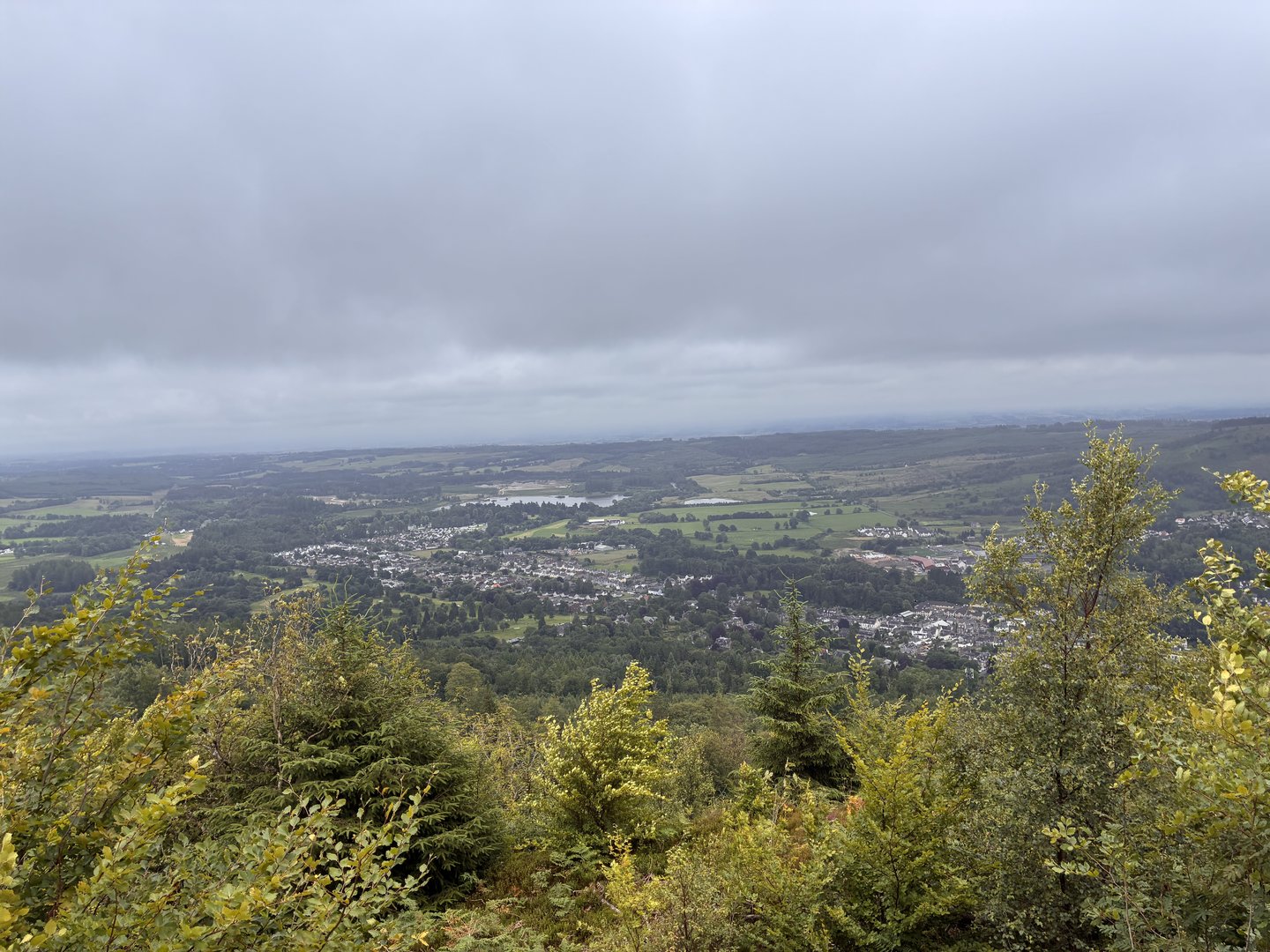 IMG_3934.jpeg