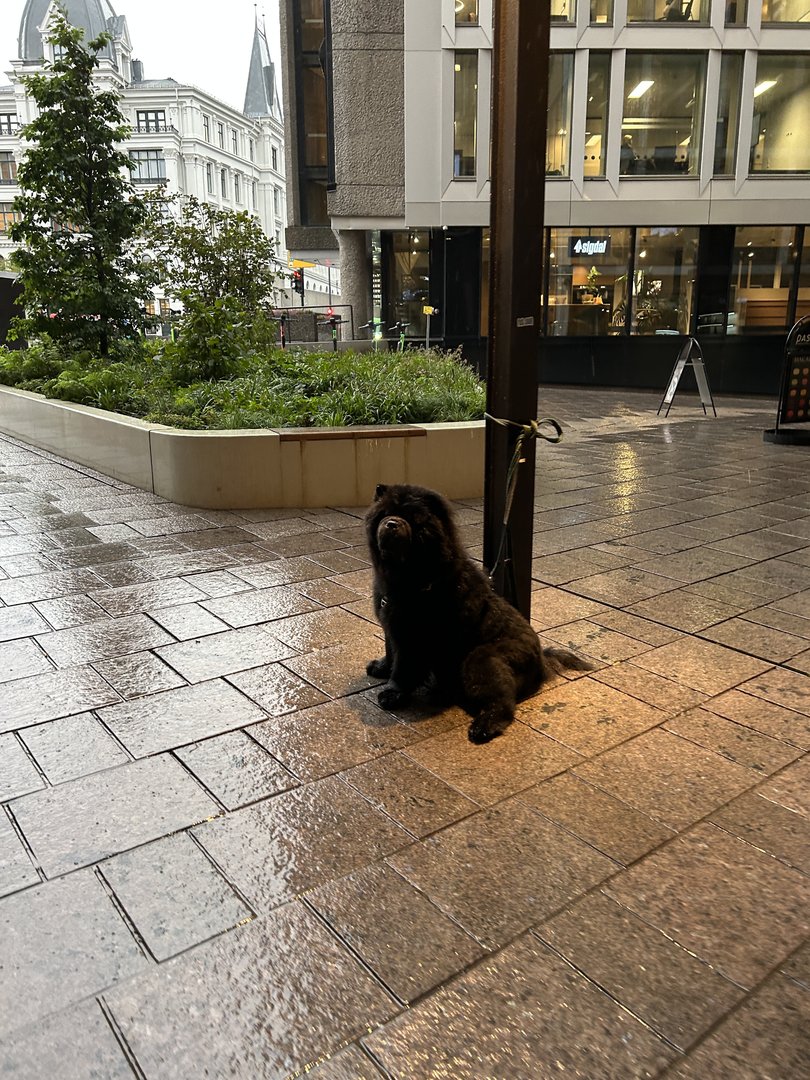 IMG_4088.jpeg