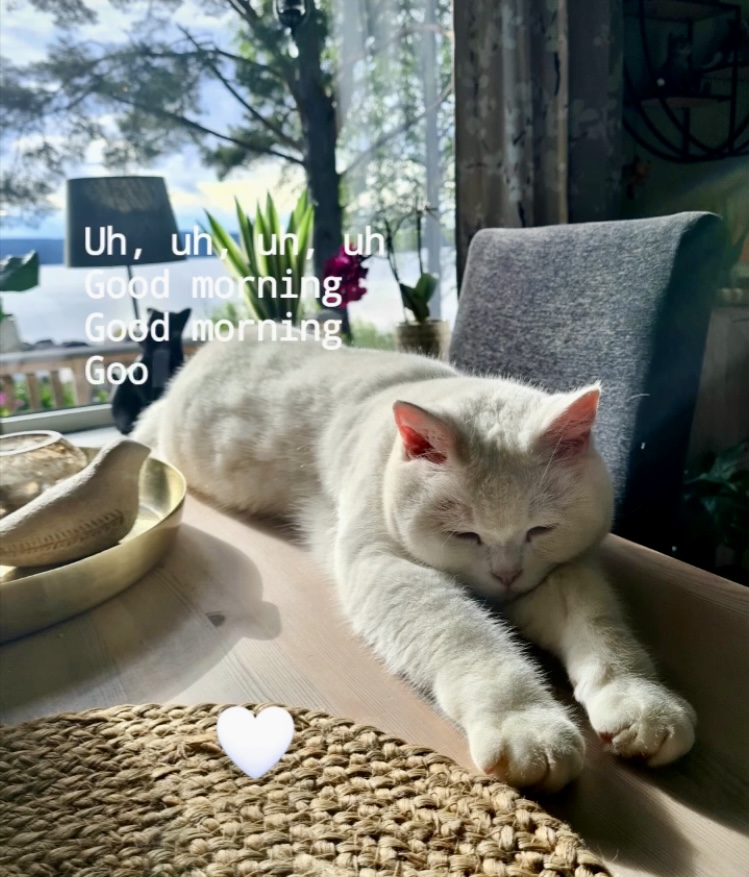 IMG_4541.jpeg