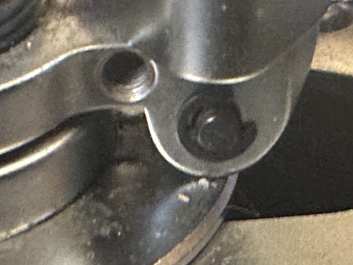 IMG_5055.jpeg