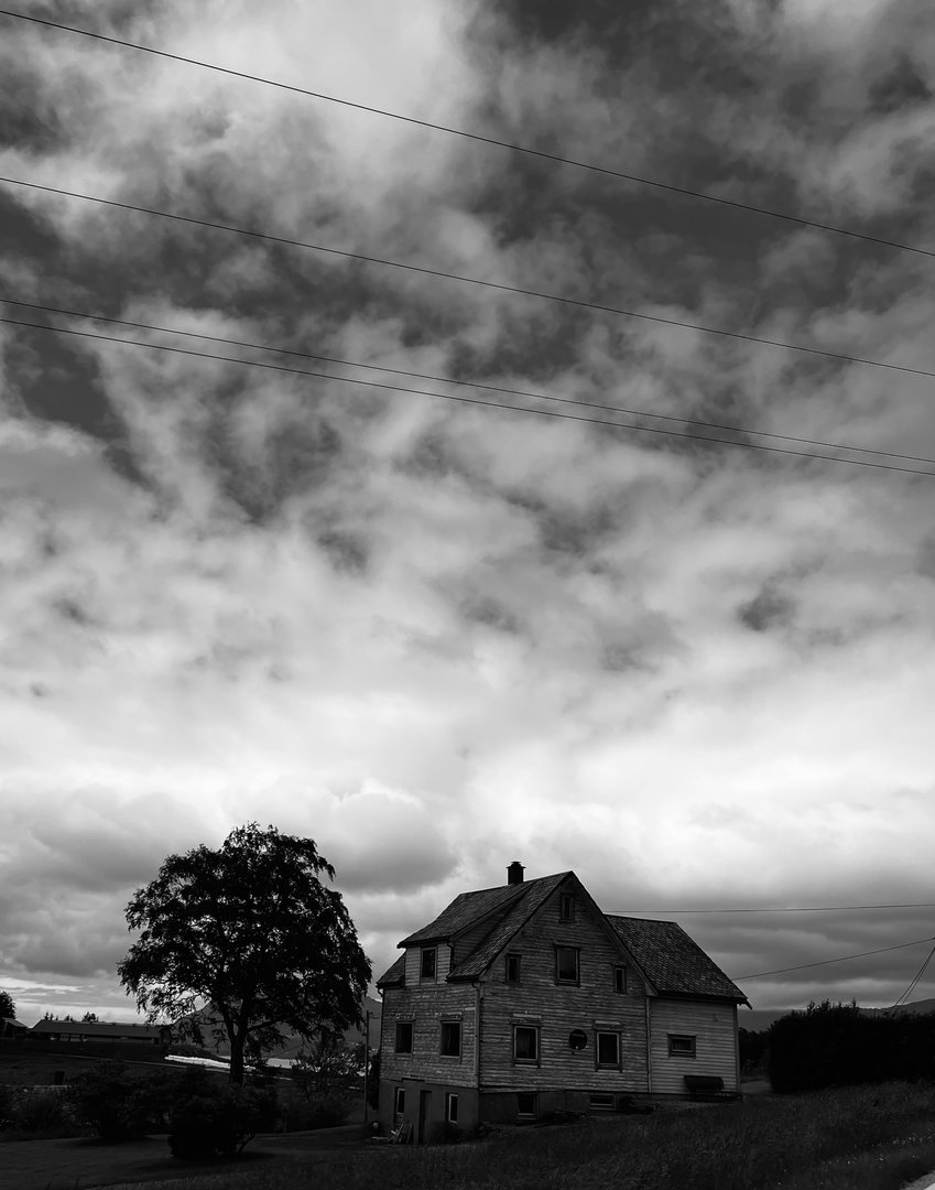 IMG_6584.jpeg