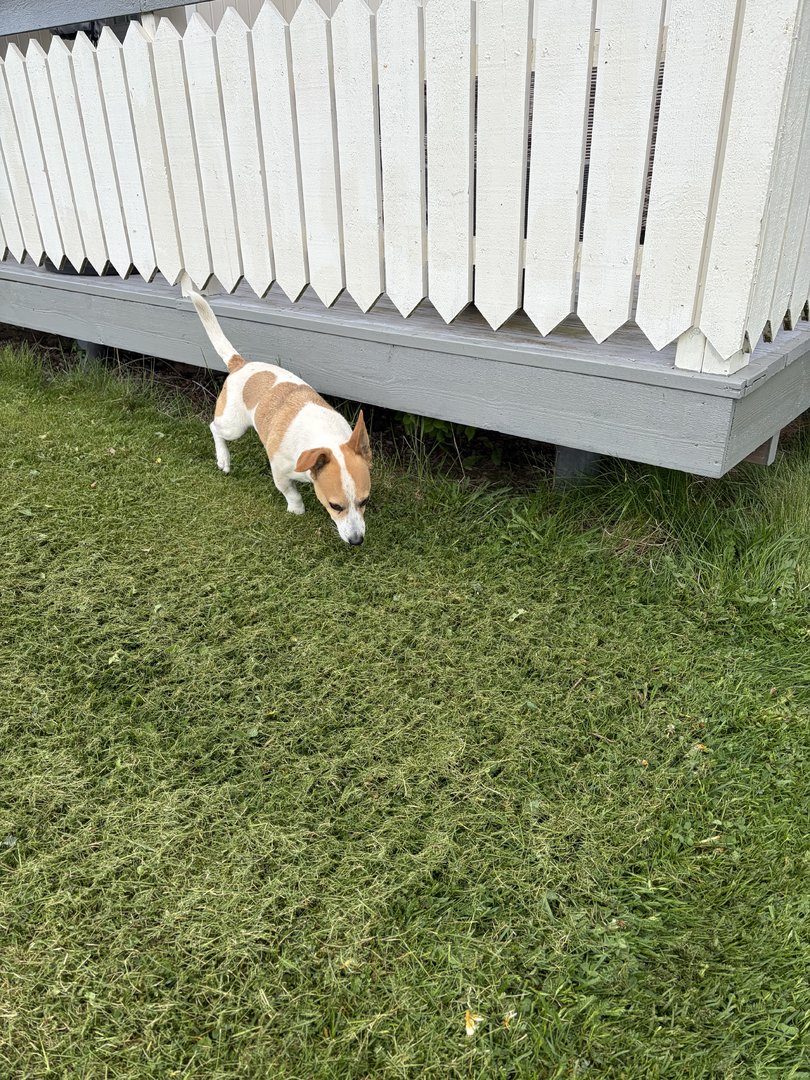 IMG_6836.jpeg