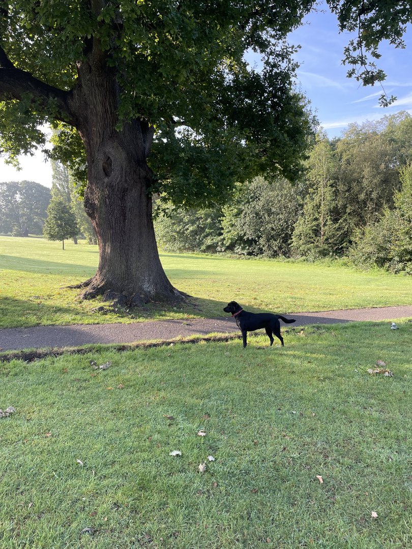 IMG_6907.jpeg