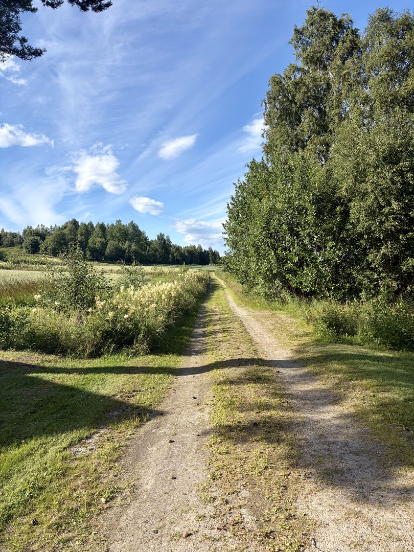 IMG_7758.jpeg