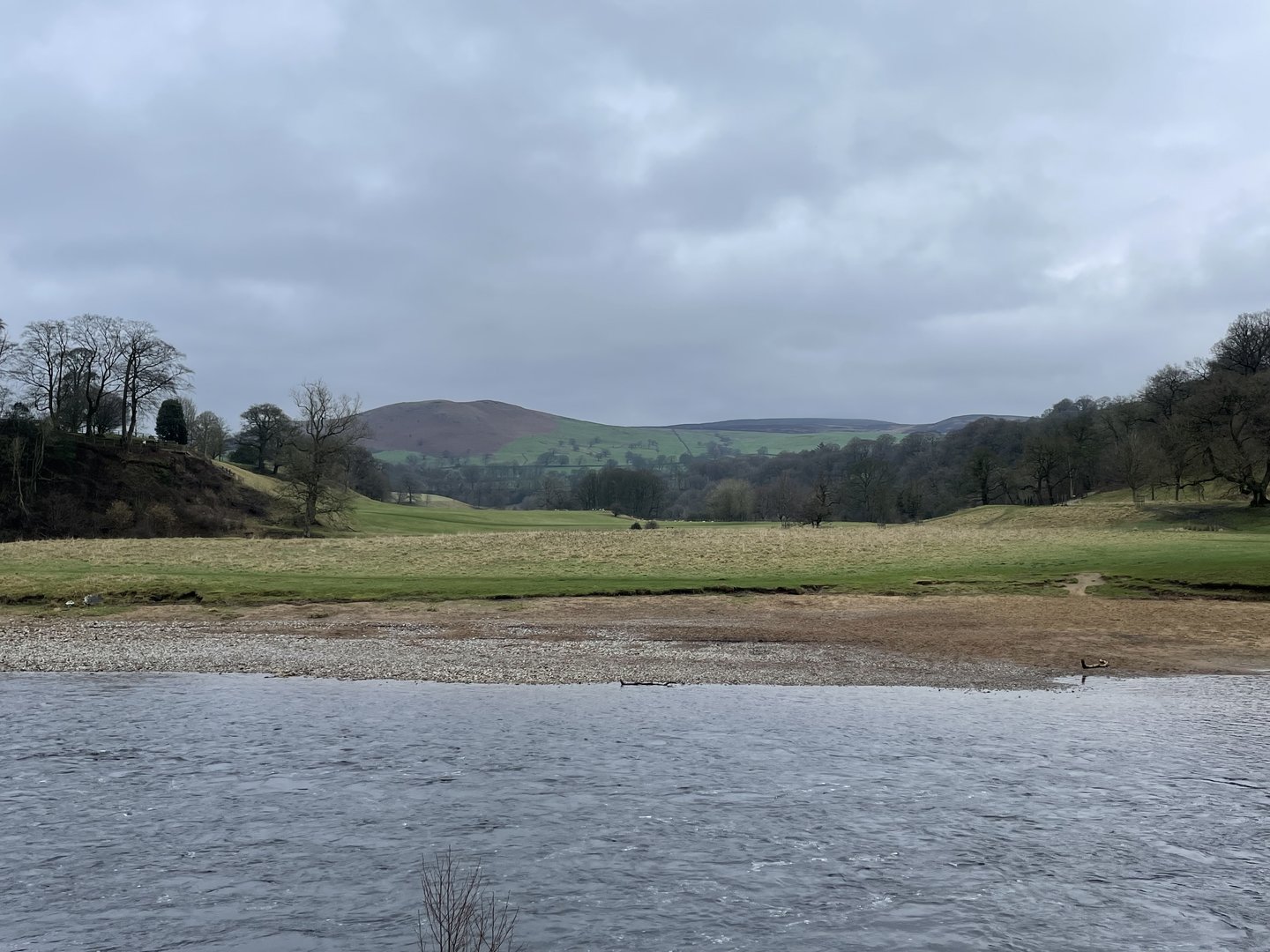 IMG_8026.jpeg