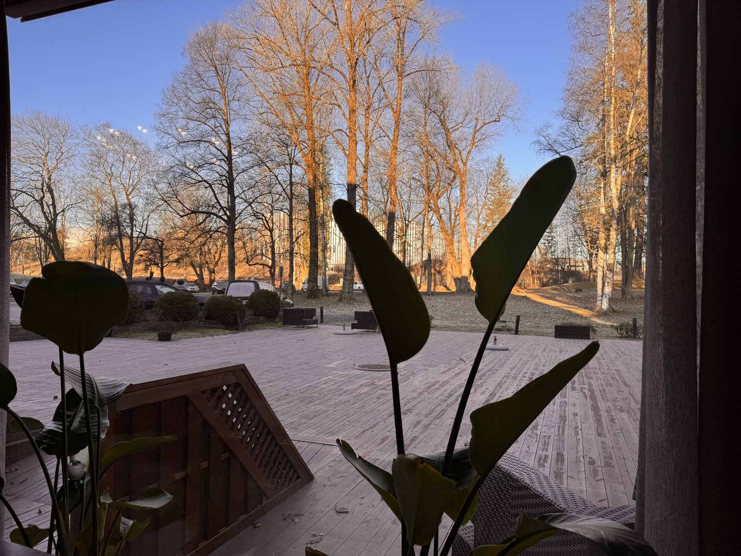 IMG_8118.jpeg