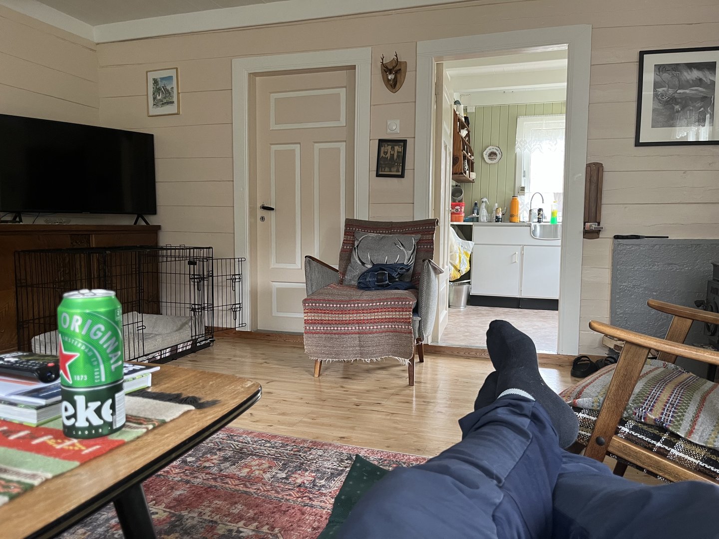 IMG_8231.jpeg