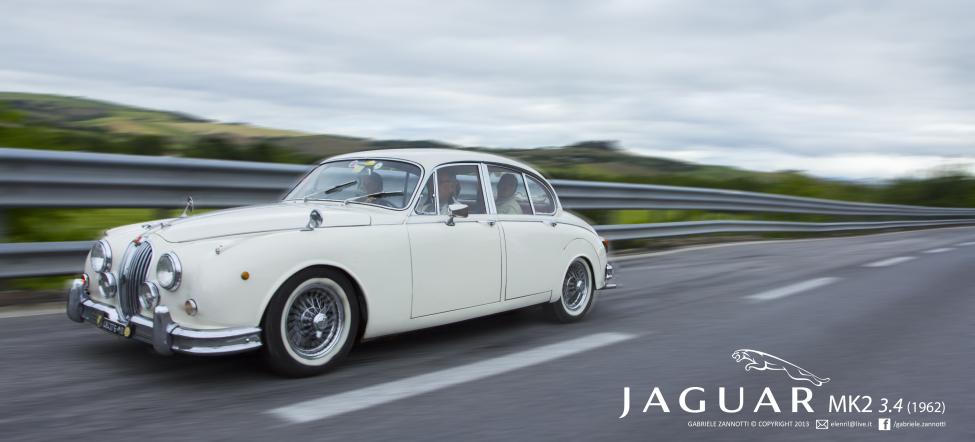 jaguar_by_gabrielezannotti-d68its9.jpg