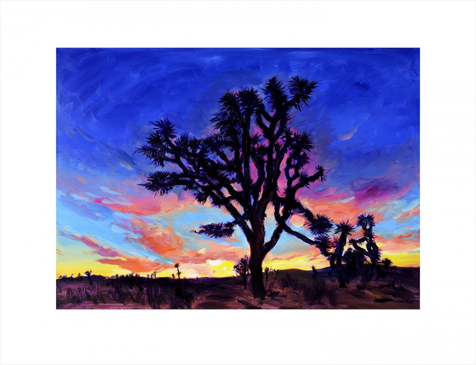 joshua-tree-2019.jpg