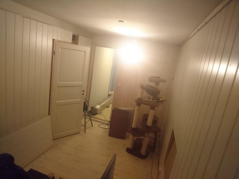 Kino3.jpg