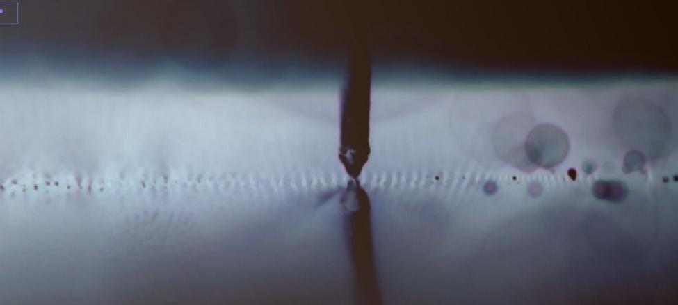 Kiseki front invert.jpg