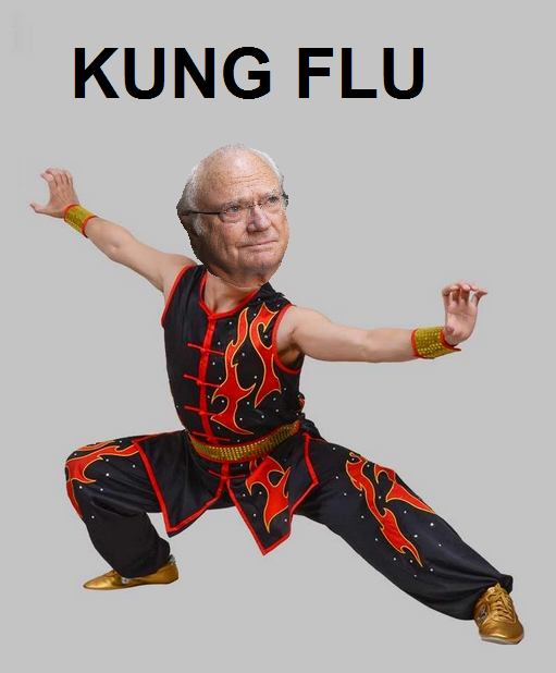 KUNG FLU.png