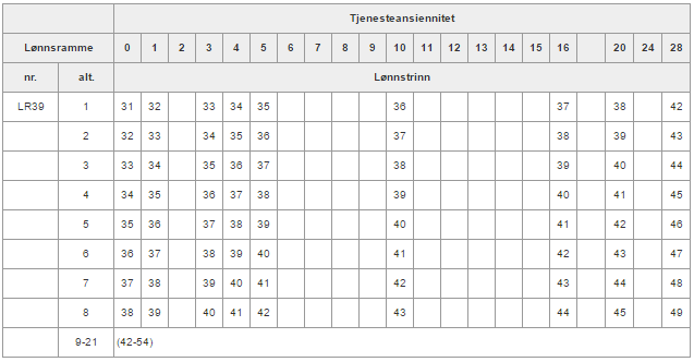 Lønnsramme39.png