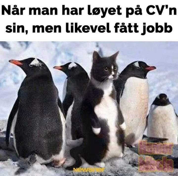 Løyet På CW.jpg