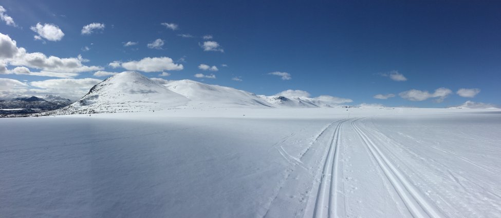 Løype!.jpg