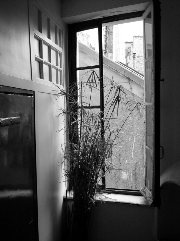 L1070152.JPG