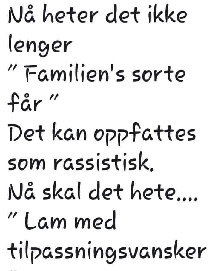 Lam Med Tilpasningsvansker.jpg