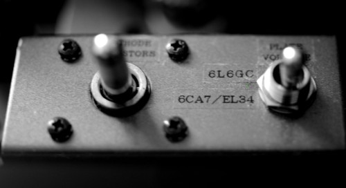 leben-cs-600-output-tubes-switch-cropped.jpg