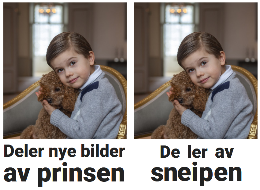 ler av sneipen.png