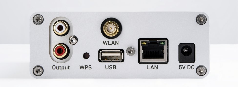 LimetreeNetwork_Back-1.jpg