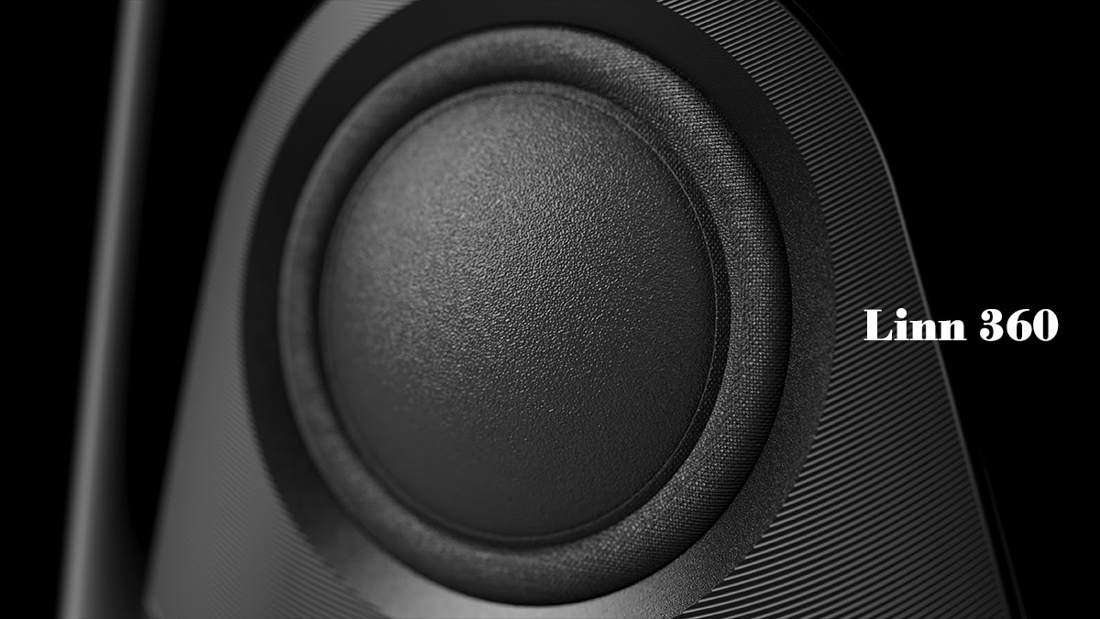 Linn360BiB (4 of 7).jpg