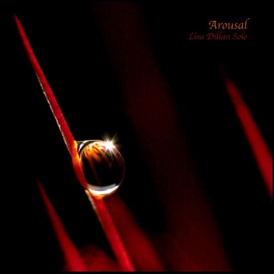 Lisa Dillan - Arousal.JPG