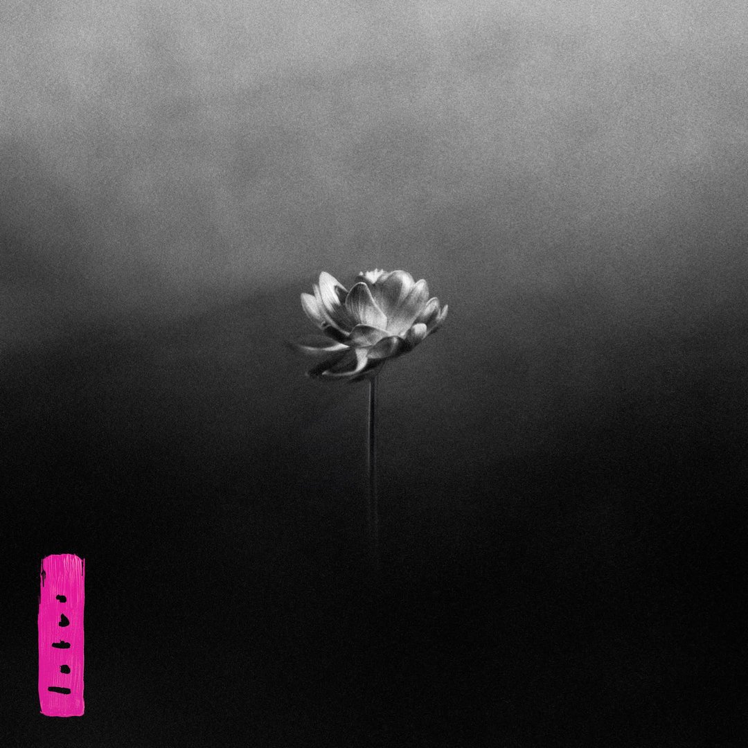 Little-Simz-–-Lotus.jpg