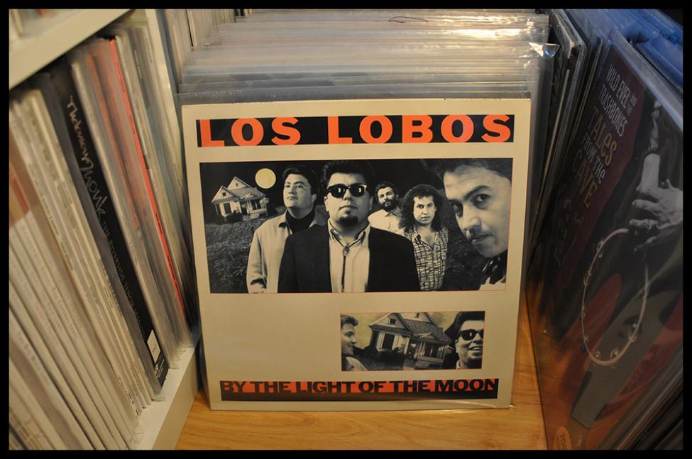 los lobos - by the light of the moon.jpg