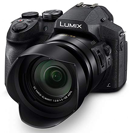 Lumix DMC-FZ300.jpg