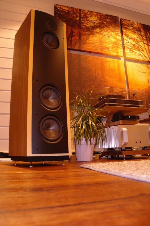 magico hfs.jpg