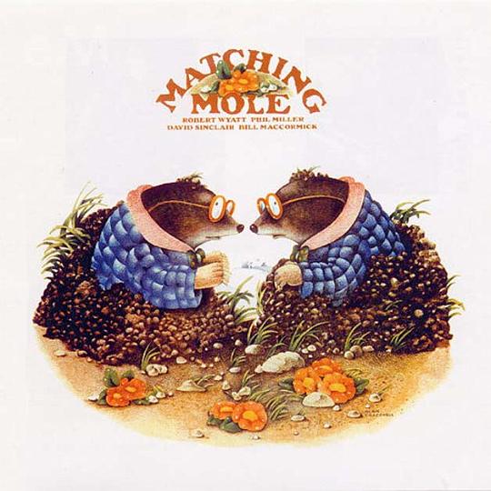 Matching_Mole.jpg