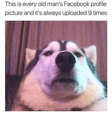 mB4C2q4g0wNbVumIuUkcNCGB3yyG-4CC71JRSlSDMQA.jpg