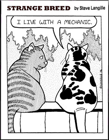mechanic_cat.gif