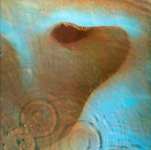 meddle.jpg