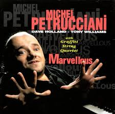 michel petrucciani - marvelous.png
