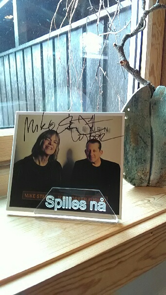 mike stern.jpg