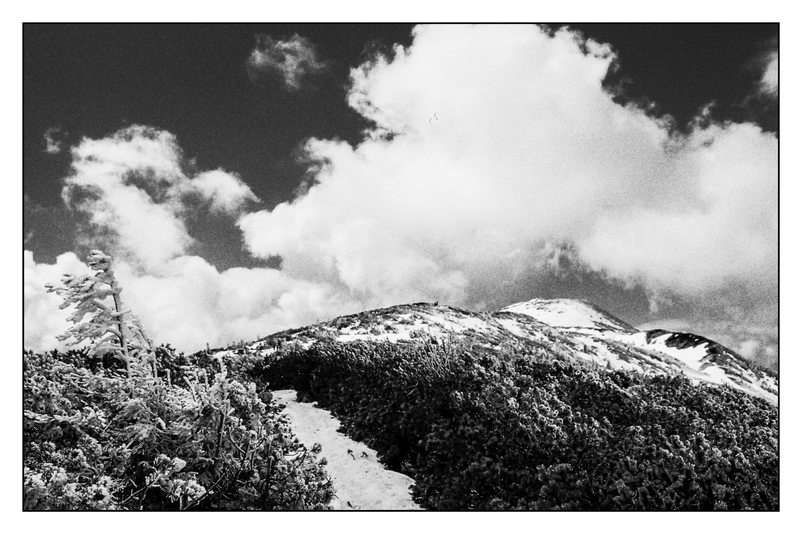 Mountains Clouds2.jpg